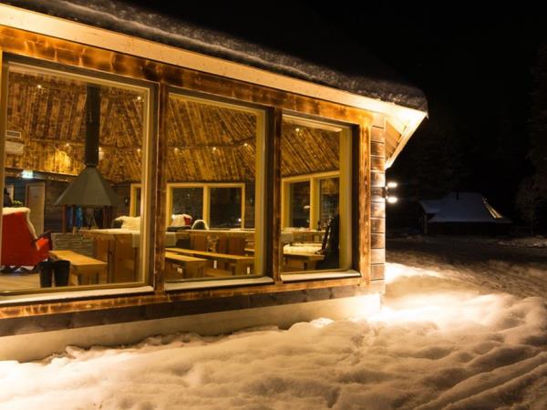 Norway Northern Lights and Fjords vacation