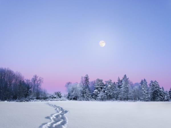 Norway Northern Lights and Fjords vacation