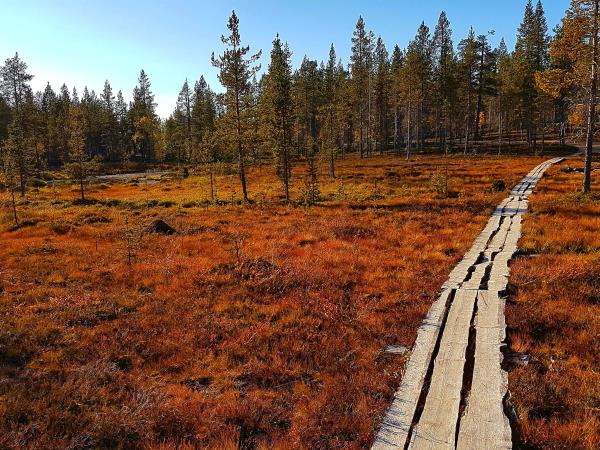 Finnish Lapland Autumn Northern Lights vacation
