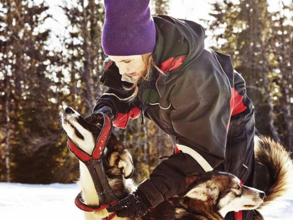 Dogsledding in Swedish Lapland vacation