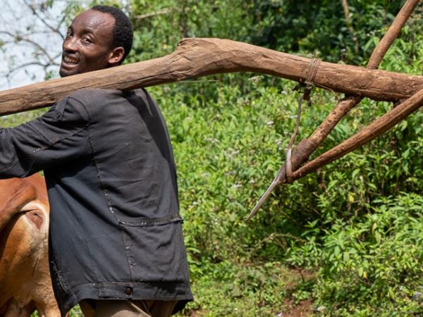 Ethiopia coffee tour