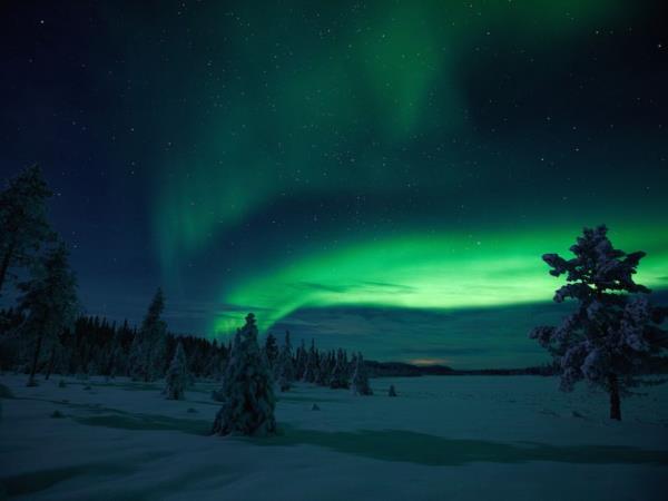 Dogsledding in Swedish Lapland vacation