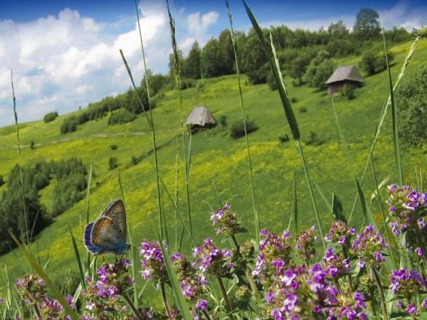 Romania hiking vacation