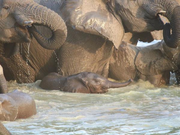 Northern Cameroon safari expedition