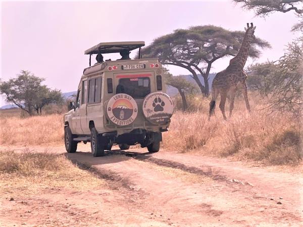 Serengeti vacation in Tanzania, the big five