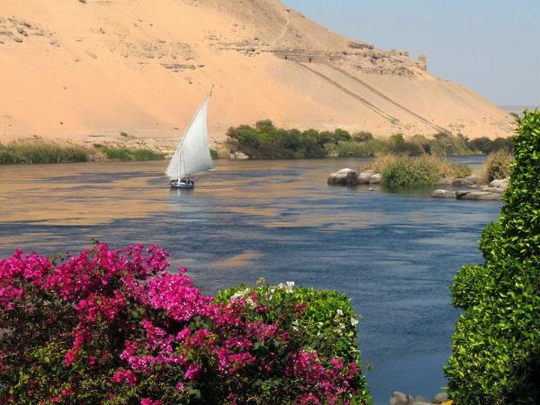 Ancient Egypt vacation, 2 weeks