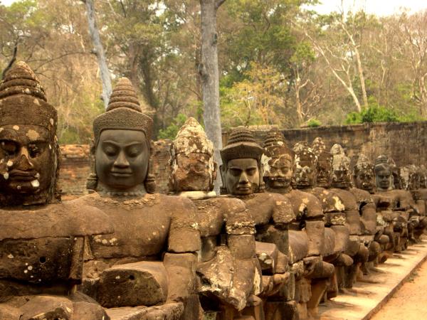 Cambodia culture & wildlife tour