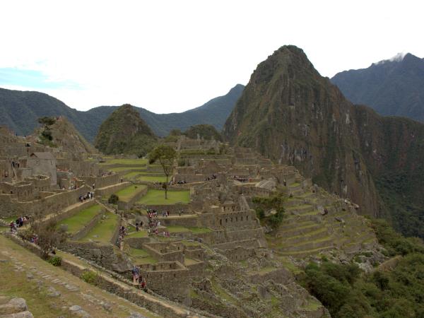 Peru wildlife vacations, Amazon and Machu Picchu