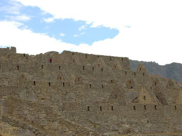 Peru wildlife vacations, Amazon and Machu Picchu