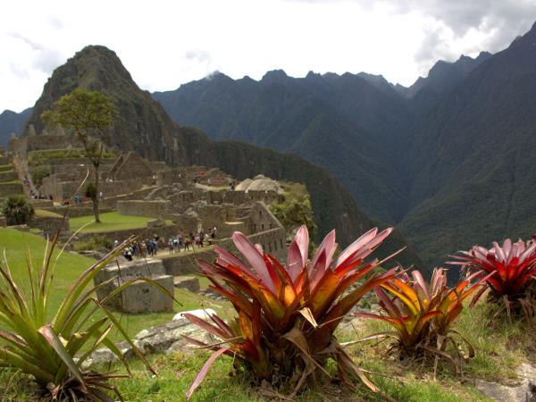 Peru wildlife vacations, Amazon and Machu Picchu