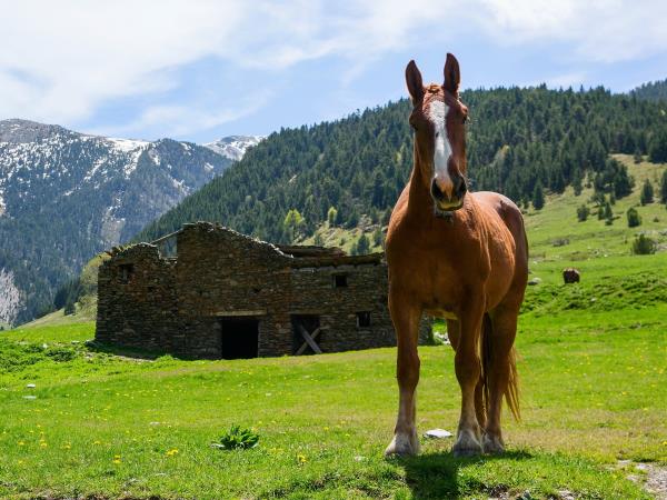 Catalan Pyrenees hiking holiday