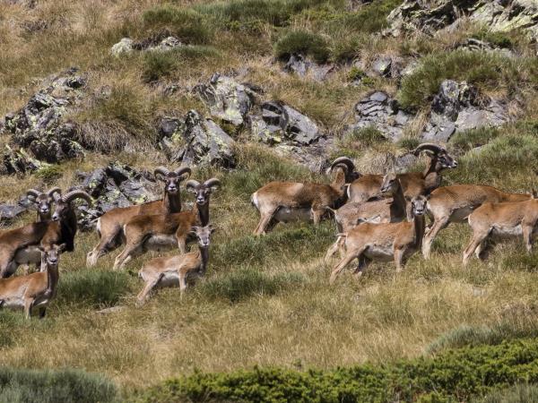 Catalan Pyrenees hiking holiday