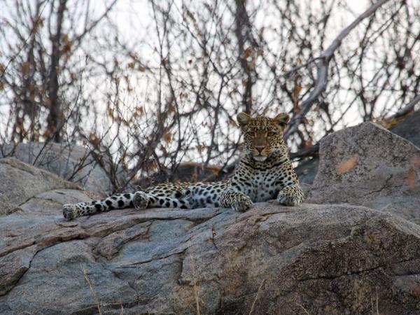 Kwa-Zulu Natal and Kruger safari, South Africa