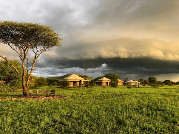 Serengeti wildlife safari, Tanzania migration