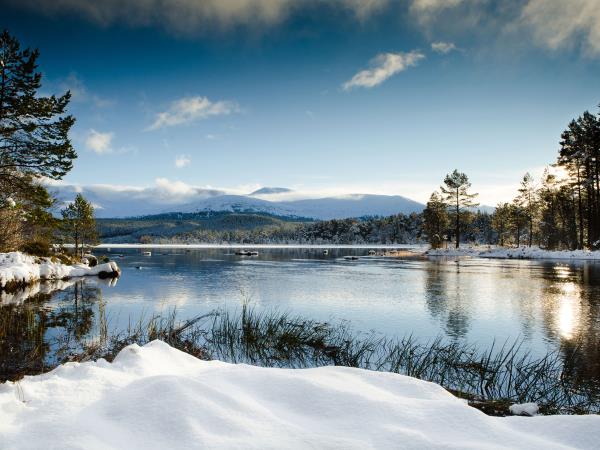 Cairngorms wildlife winter adventure