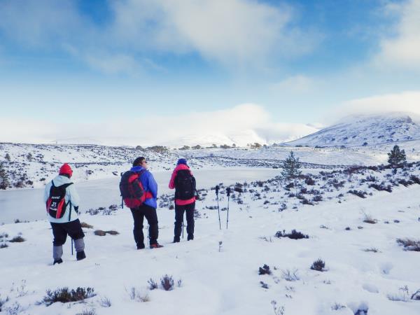 Cairngorms wildlife winter adventure