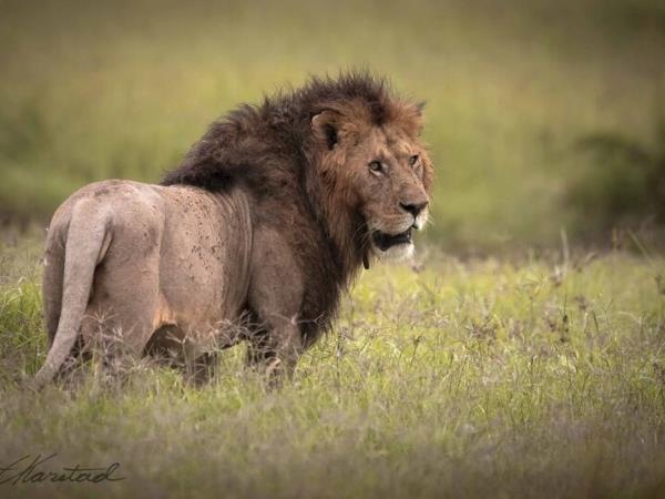 East Africa and Zanzibar holiday