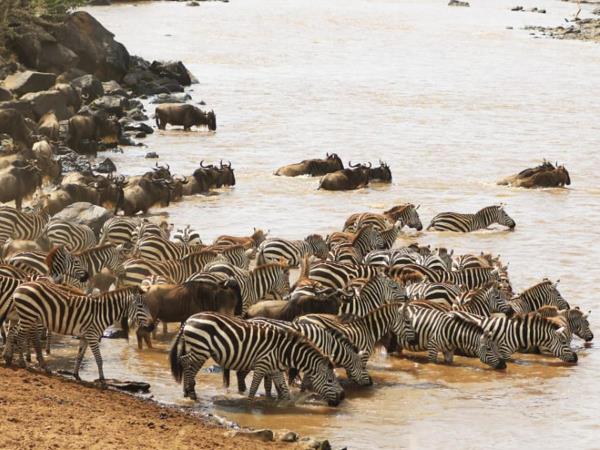 East Africa highlights tour