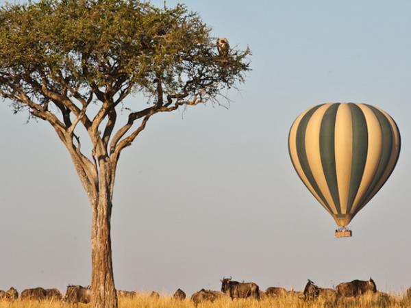Masai Mara safari and beach vacation, Kenya