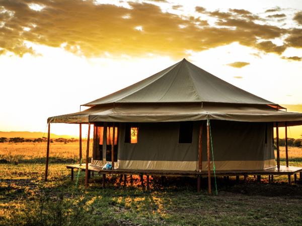 Tanzania on a budget, 4 day tour