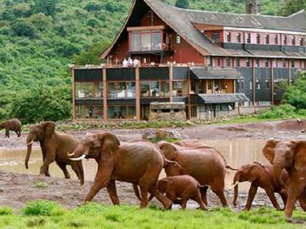 Kenya safari vacation