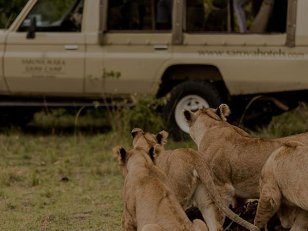 Kenya small group safari, 7 days
