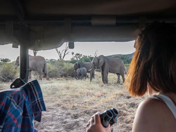 Kenya small group safari, 7 days