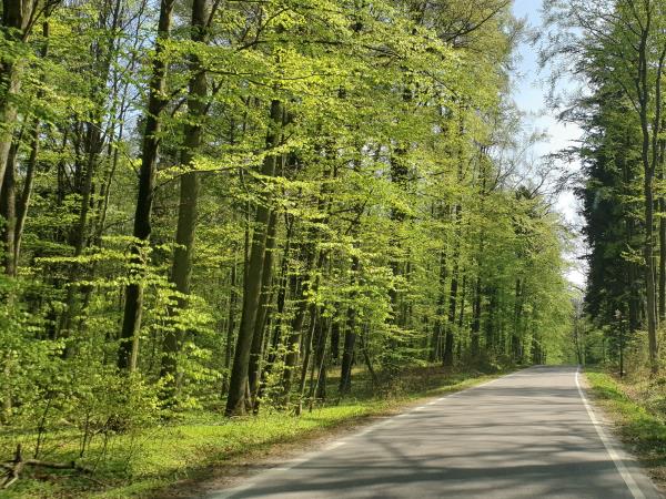 Baltic Coast small group cycling vacation