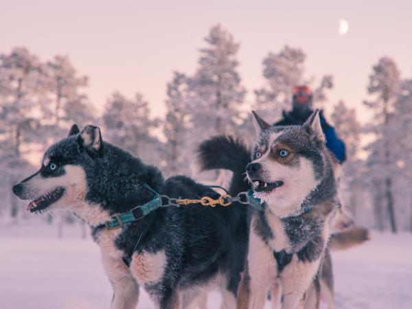 Finnish Lapland short break
