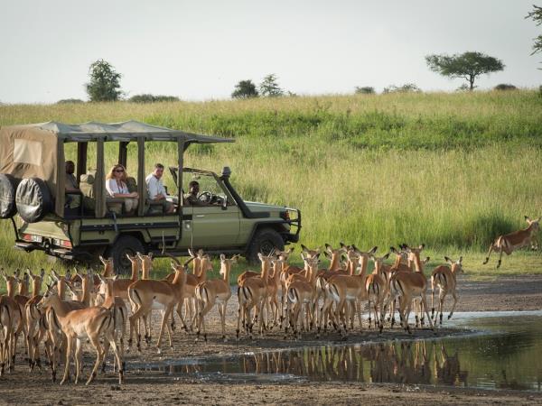 Tanzania safari in the Serengeti