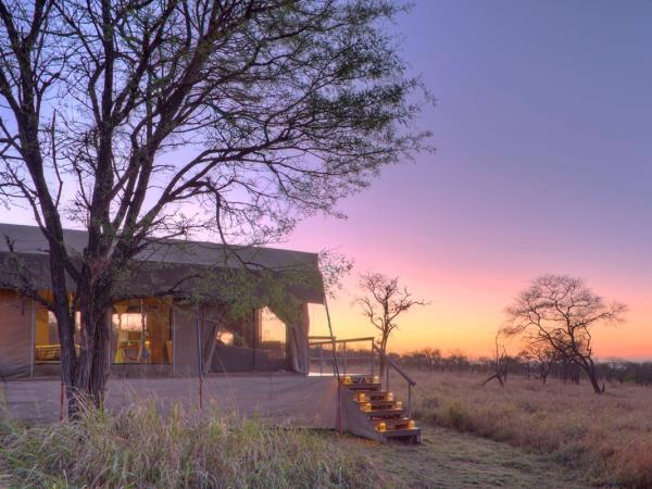 Tanzania safari in the Serengeti