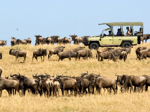 Tanzania safari in the Serengeti
