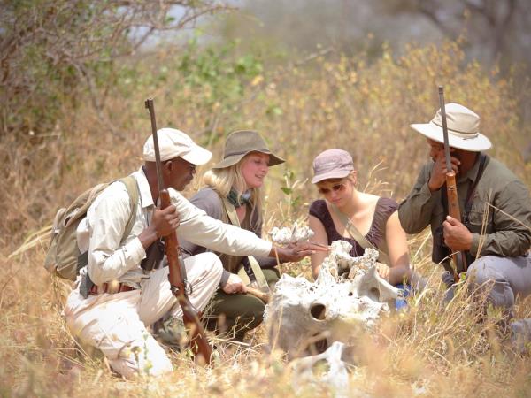 Tanzania safari in the Serengeti