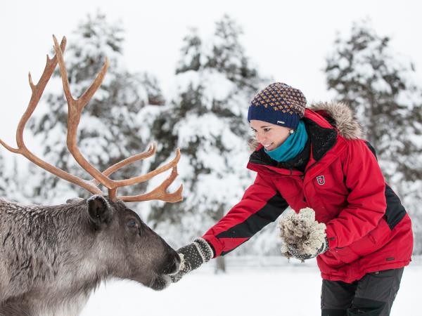 Finnish lapland vacation, winter activities