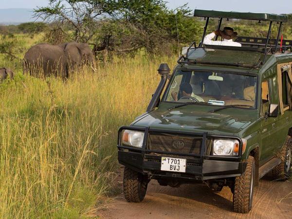 Tanzania luxury family safari and beach vacation