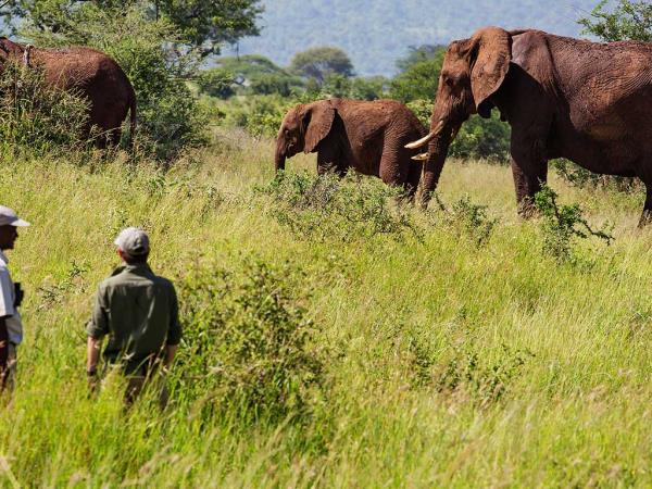 Tanzania luxury family safari and beach vacation