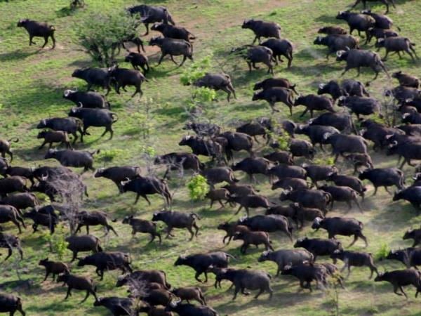 Tanzania luxury safari and beach vacation