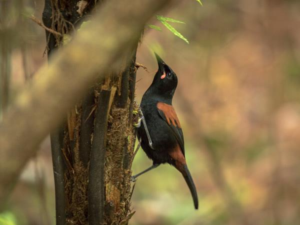 New Zealand Fiordland & Stewart Island cruising expedition