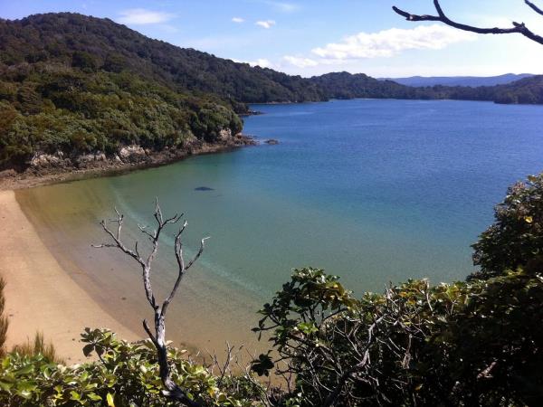 New Zealand Fiordland & Stewart Island cruising expedition