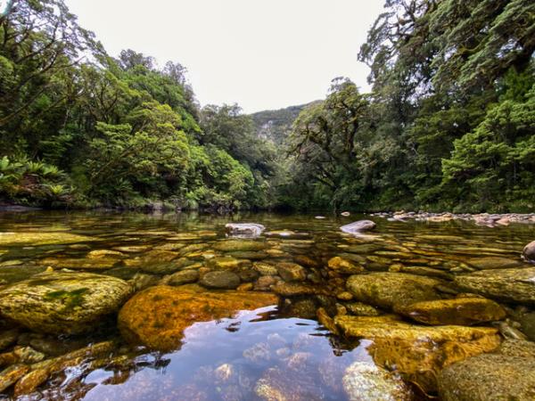 New Zealand Fiordland & Stewart Island cruising expedition