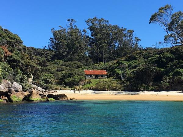 New Zealand Fiordland, Stewart Island & the Snares cruise