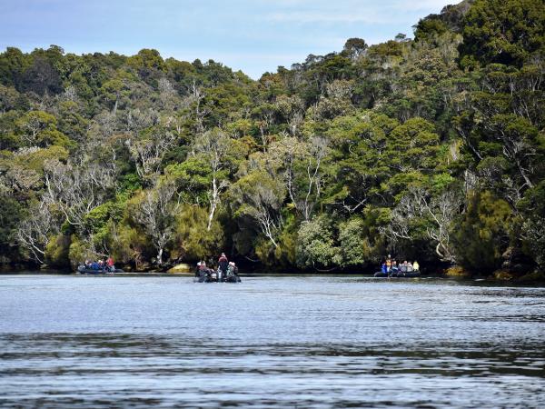 New Zealand Fiordland, Stewart Island & the Snares cruise
