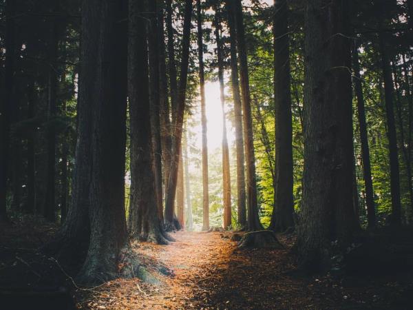 Mindfulness & yoga vacation in Spain