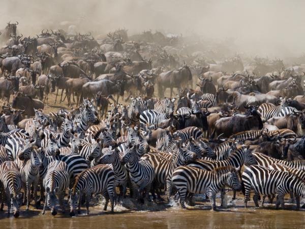 Tanzania safaris, northern circuit