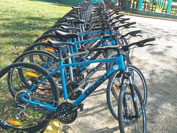 Cuba small group cycling vacation