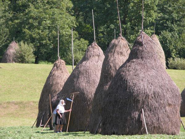 Easy hiking vacation in Romania