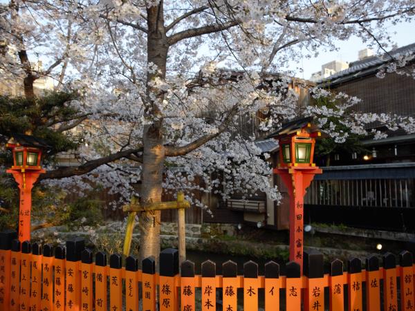 Japan hiking tour, Samurai trails & pilgrimage paths