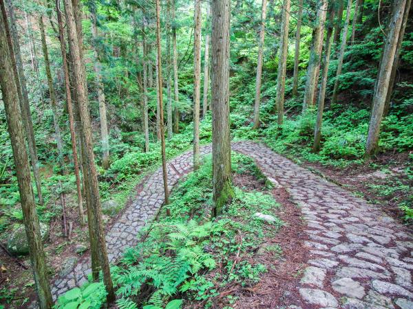 Japan hiking tour, Samurai trails & pilgrimage paths