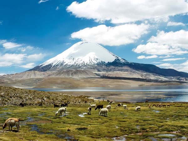 Bolivia small group tour, Bolivia uncovered