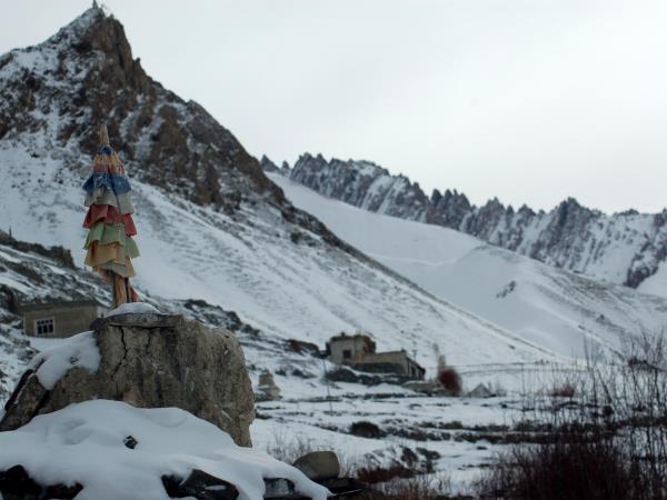 India snow leopard tracking and Golden Triangle